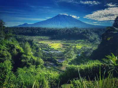 POLKA TRAVEL 1 Sp. z o.o.